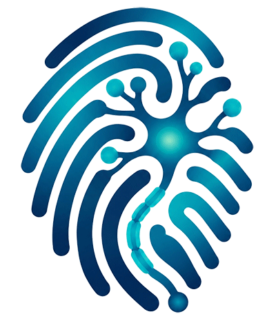 synapsona